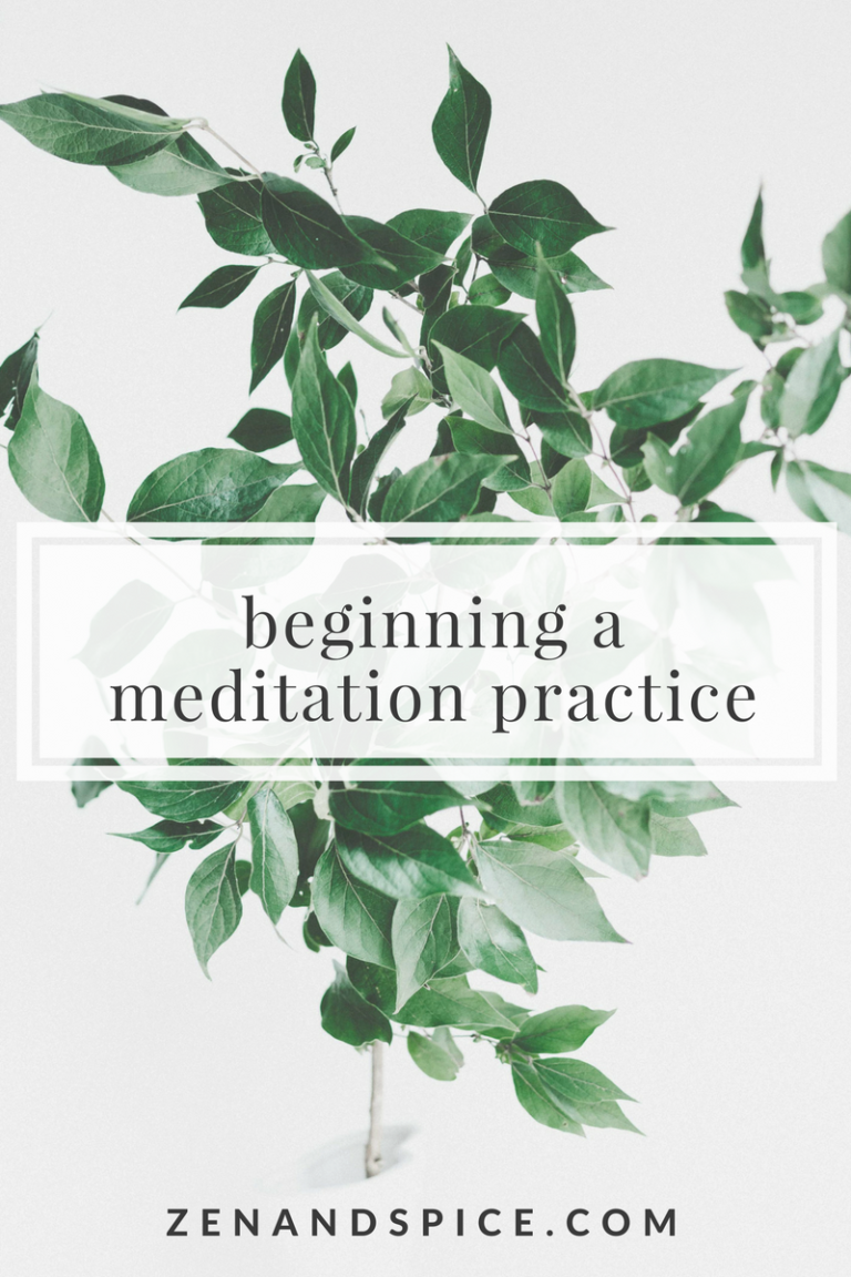 Beginning a Meditation Practice