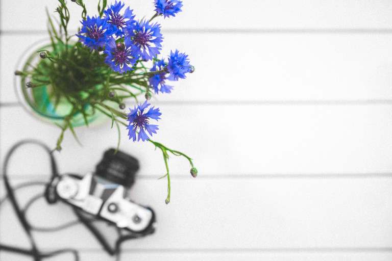 Sunday Link Love: August 10-16