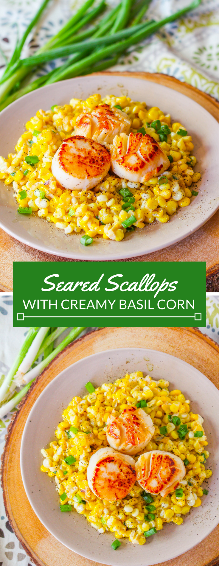 Pan seared scallops with creamy corn tossed with fresh julienned basil. These pan seared scallops are a great way to include more seafood in your everyday life! 