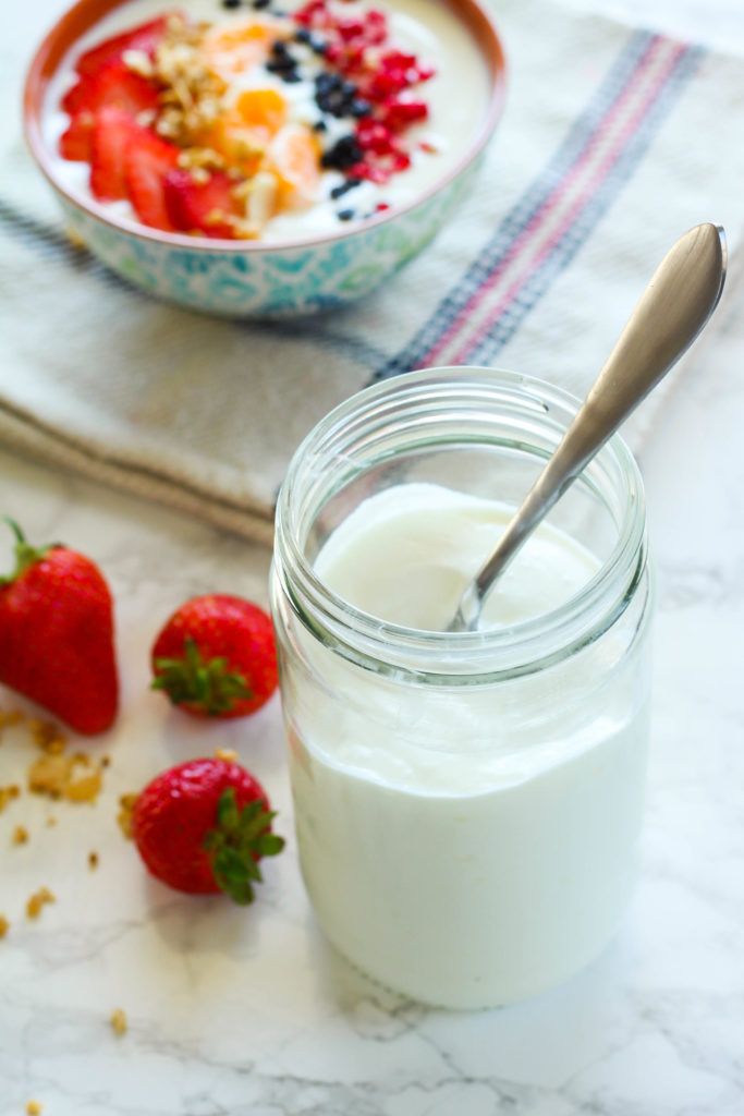 The Creamiest Homemade Whole Milk Yogurt | Zen & Spice