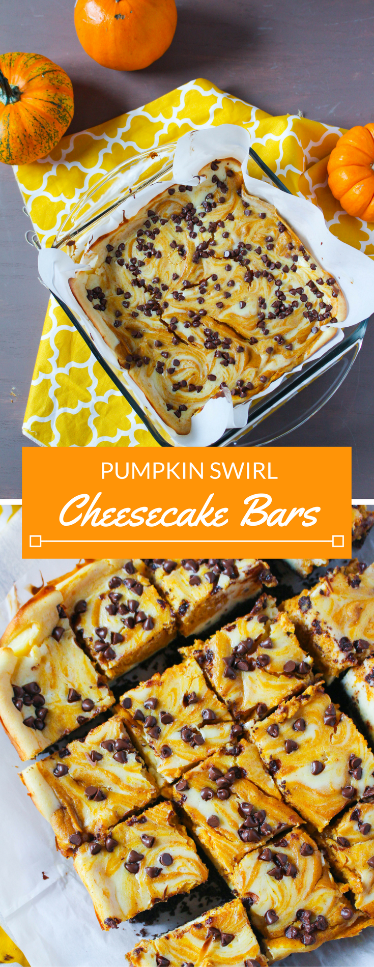 Pumpkin swirl cheesecake bars with mini chocolate chips and a chocolate graham cracker crust. Sure to please a crowd any time of year, not just during Halloween! 