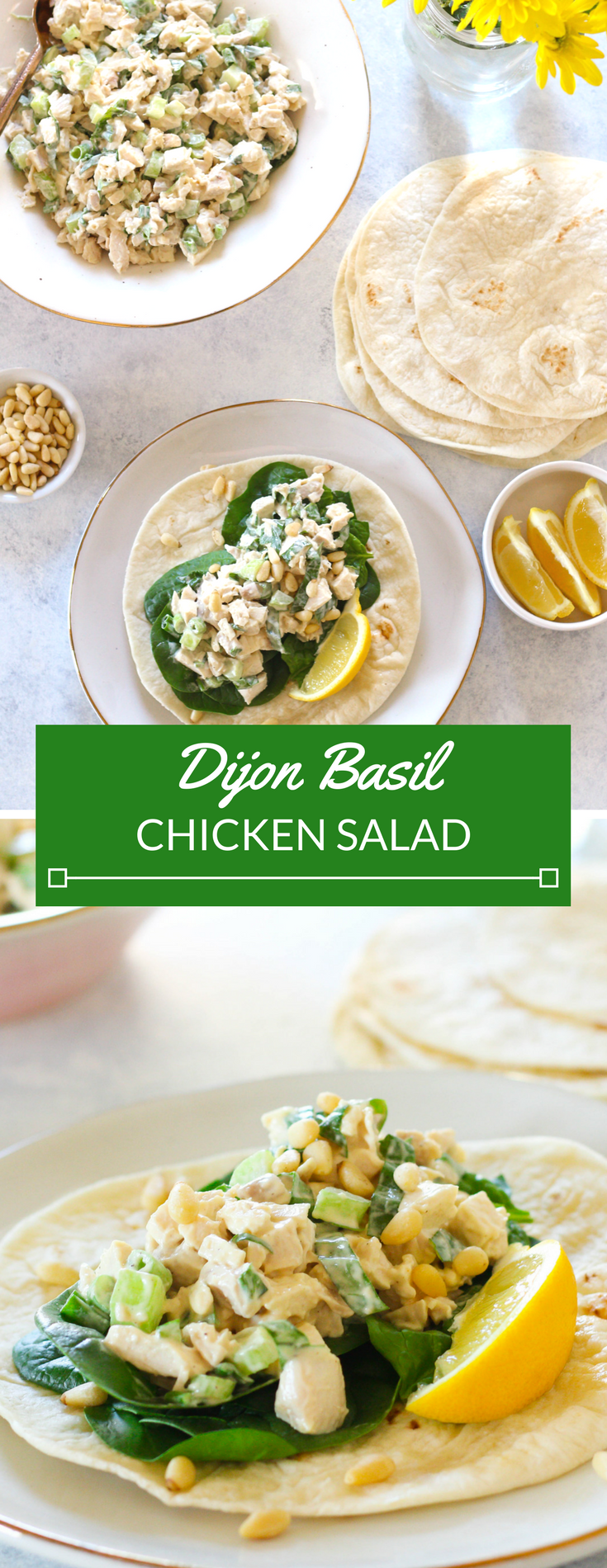  Diced rotisserie chicken combined with mayo, lemon juice, Dijon mustard and basil to create a delicious dijon basil chicken salad, perfect to eat as a salad or on top of your favorite bread or roll!