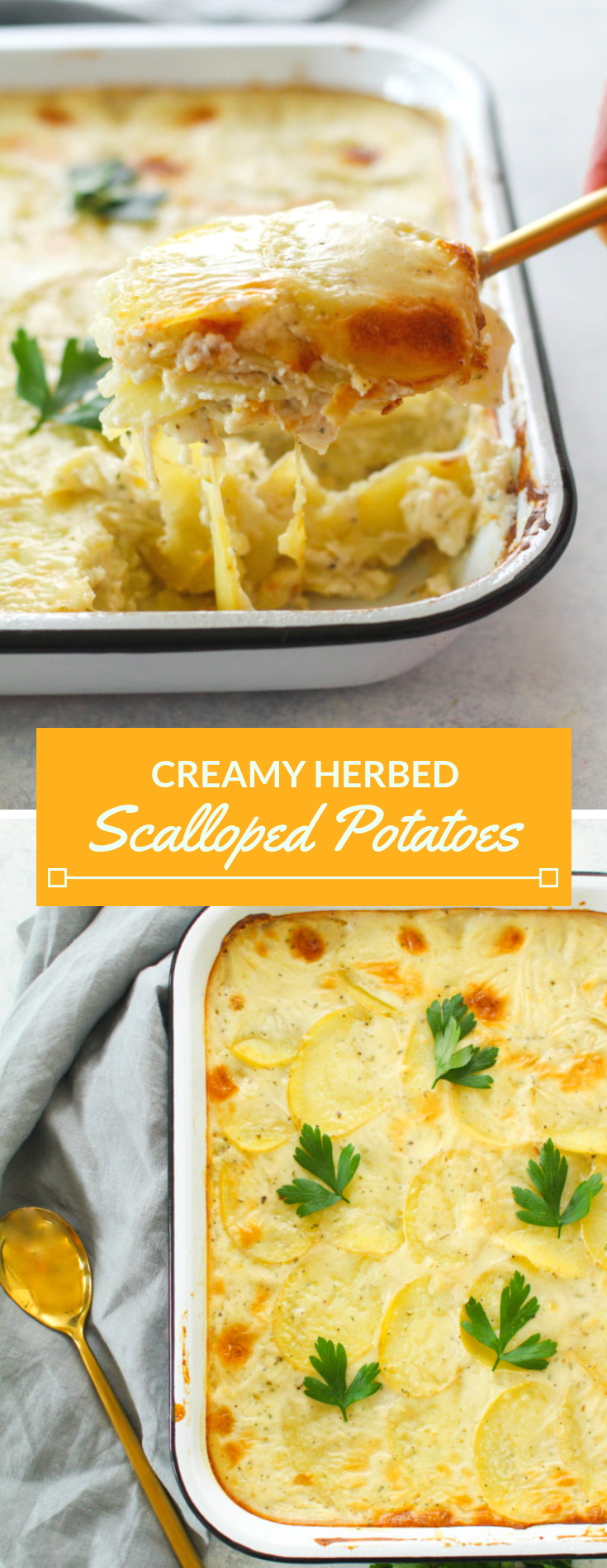 Layers of thinly sliced Yukon gold potatoes covered in a creamy herbed sauce and baked until soft and golden brown. These scalloped potatoes are the perfect comforting side dish to any meal this Fall or Winter season. 