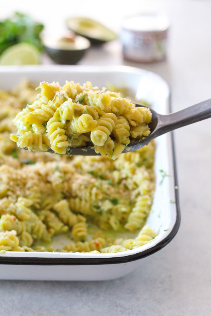 Green chili peppers make their way into a creamy macaroni and cheese made with pepper jack cheese, avocado puree, cilantro and lime. Topped with crispy panko bread crumbs and baked to perfection! This creamy and spicy mac n' cheese is perfect for your holiday party this year. 