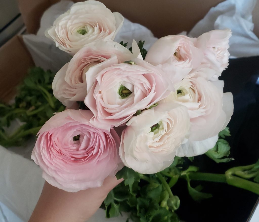 Doing your own wedding flowers can save you thousands of dollars compared to hiring a florist. With enough planning, patience and friends who are willing to pitch in, arranging your own wedding flowers is totally doable. 